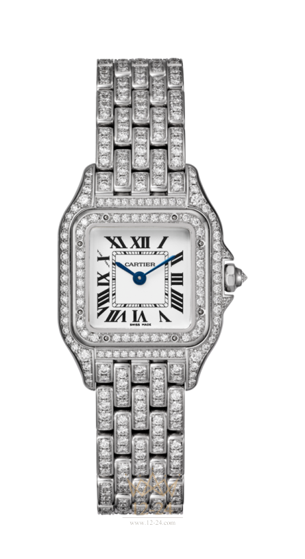 Cartier Small Model HPI01129