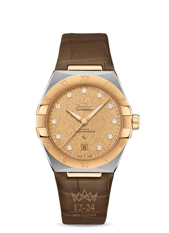 Omega Co Axial Master Chronometer 39 mm 131.23.39.20.58.001