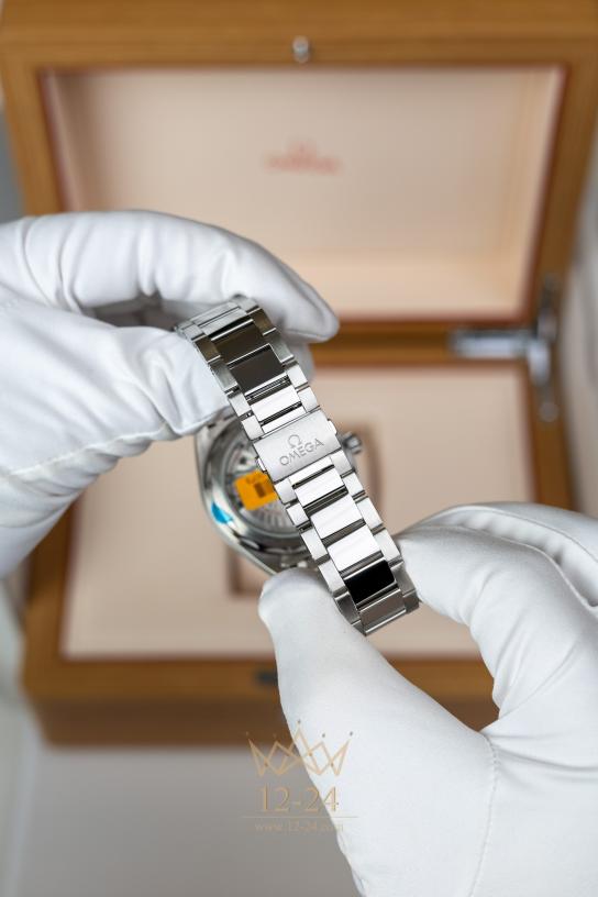 Omega Co-Axial Master Chronometer 41 mm 220.10.41.21.10.001