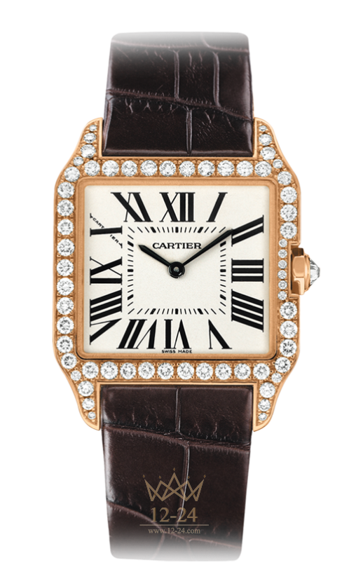 Cartier Dumont Small Model WH100351
