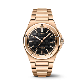 IWC Ingenieur МужскиеIWC IW328702