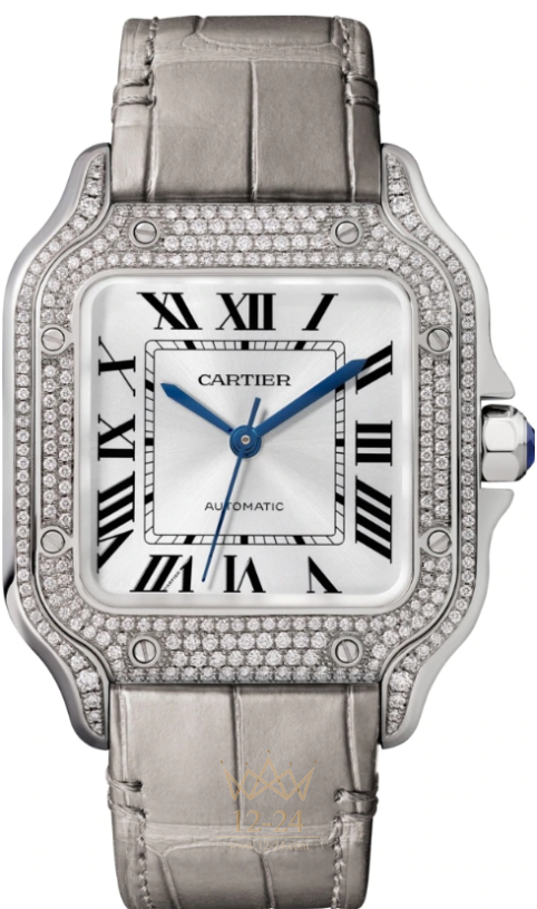 Cartier Santos de Cartier WJSA0006
