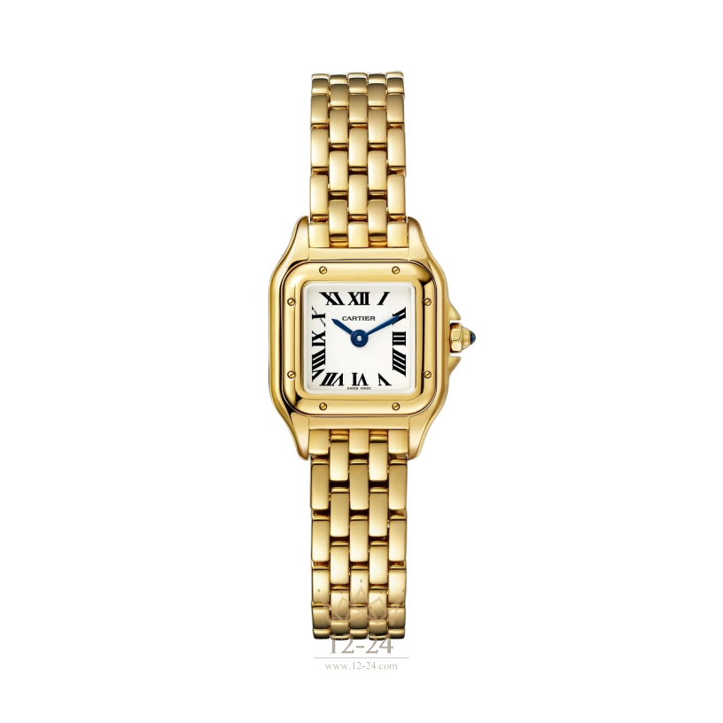 Cartier Mini Model WGPN0036