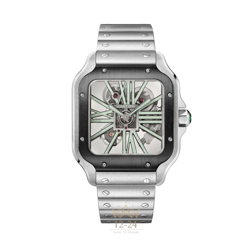 Cartier Santos Skeleton Large Model WHSA0033