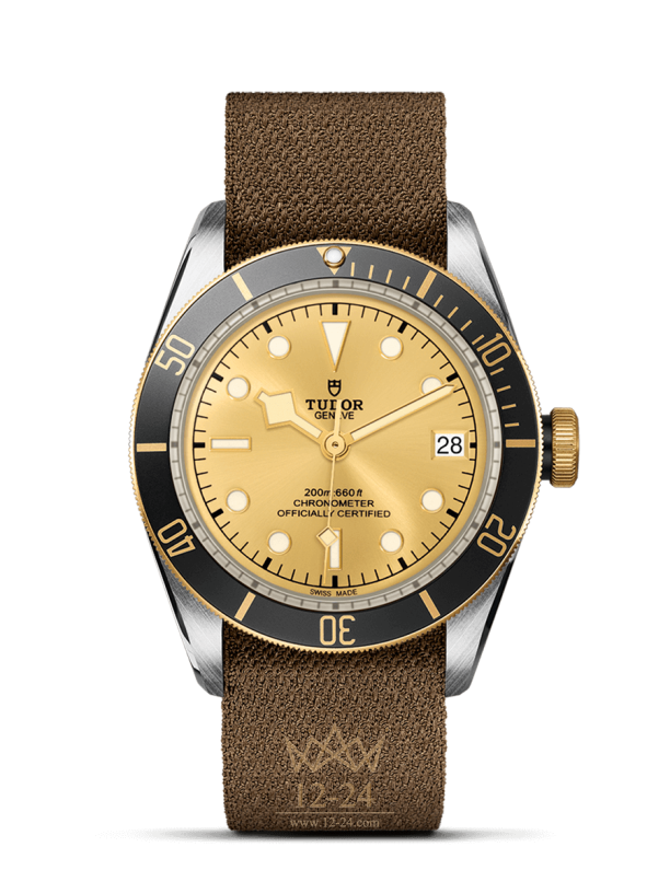 Tudor Black Bay S&amp;G m79733n-0006