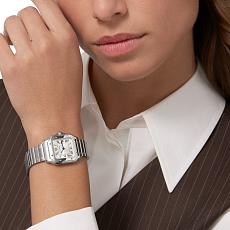 Часы Cartier Cartier Santos de Cartier watch Ref. WSSA0082 WSSA0082 — дополнительная миниатюра 2