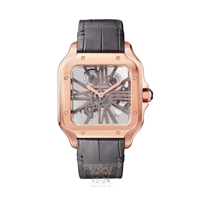 Cartier Santos Skeleton Large Model WHSA0018
