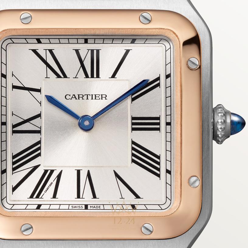 Cartier Santos de Cartier 38.0 мм x 27.5 мм W2SA0038