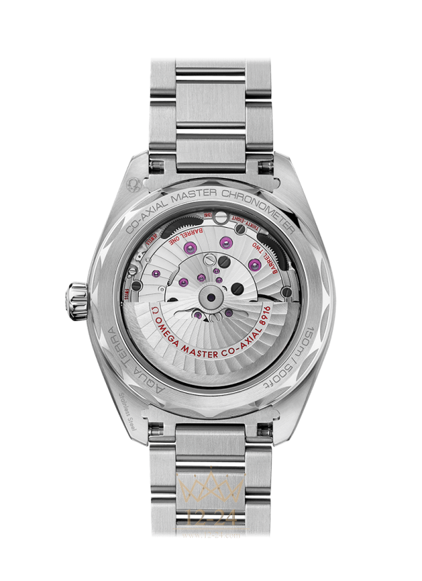 Omega Aqua Terra 150m Co Axial Master Chronometer Small Seconds 41 mm 220.10.41.21.02.004