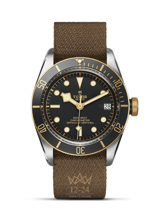 Tudor Black Bay S&amp;G M79733N-0005
