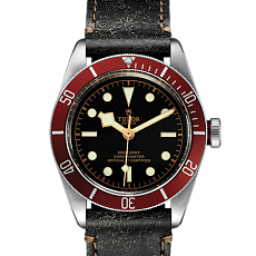 Часы Tudor Black Bay M79230R-0005 — основная миниатюра