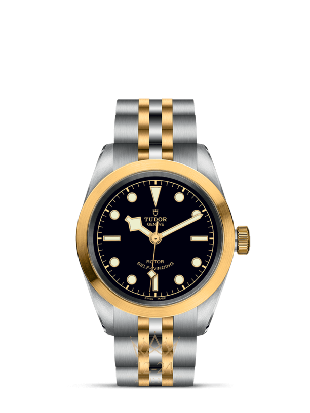 Tudor Black Bay 32 S&amp;G M79583-0001