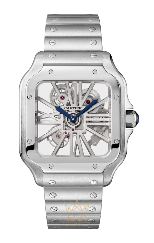 Cartier Skeleton Large Model WHSA0007