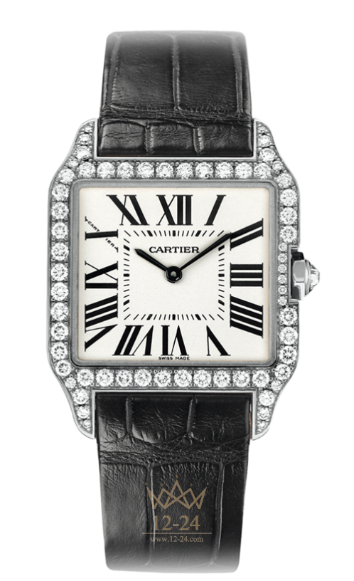 Cartier Dumont Small Model WH100251