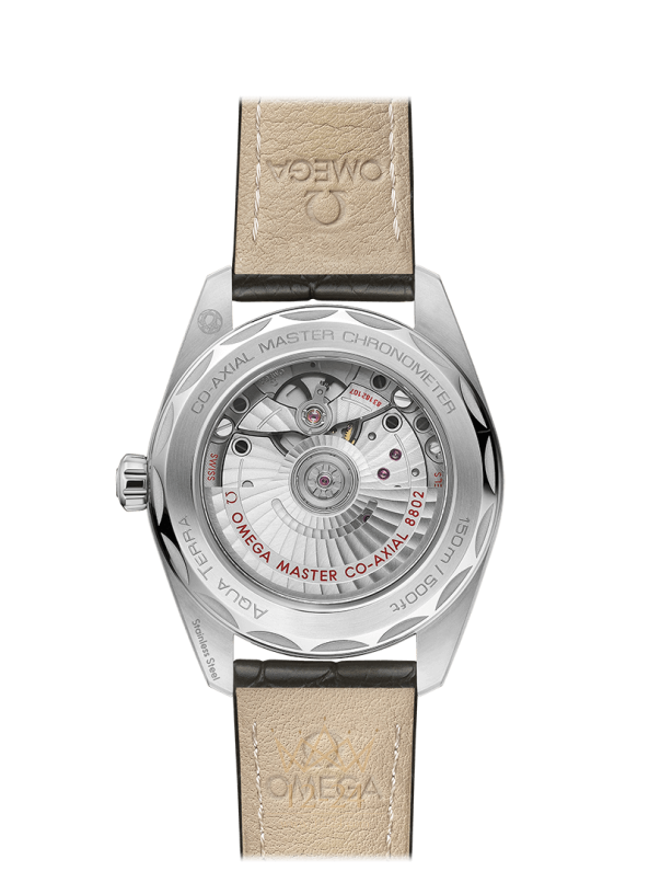 Omega Aqua Terra 150m Co Axial Master Chronometer Small Seconds 38 mm 220.13.38.20.60.001