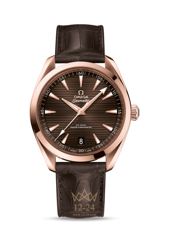 Omega Co-Axial Master Chronometer 41 mm 220.53.41.21.13.001