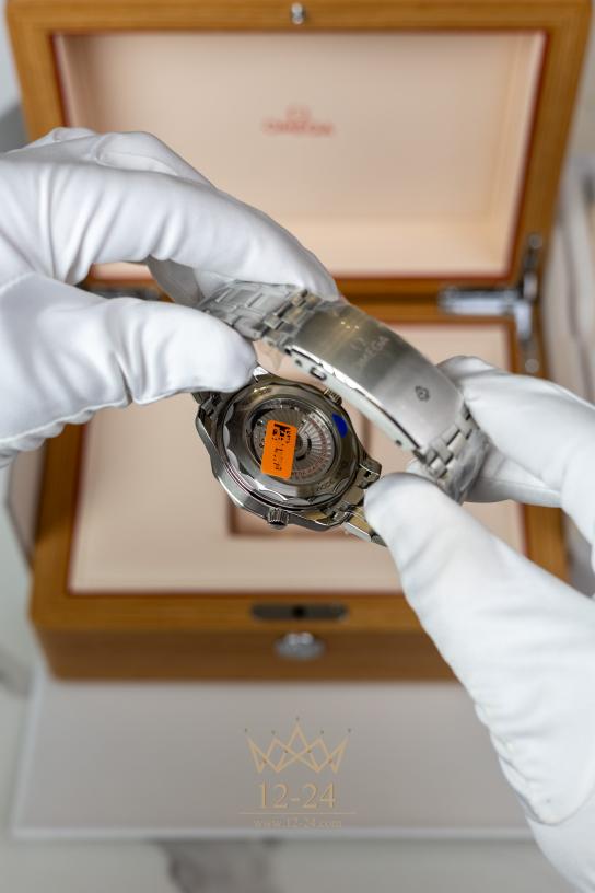 Omega Diver 300 m Omega Co-Axial Master Chronometer 42 mm 210.30.42.20.04.001