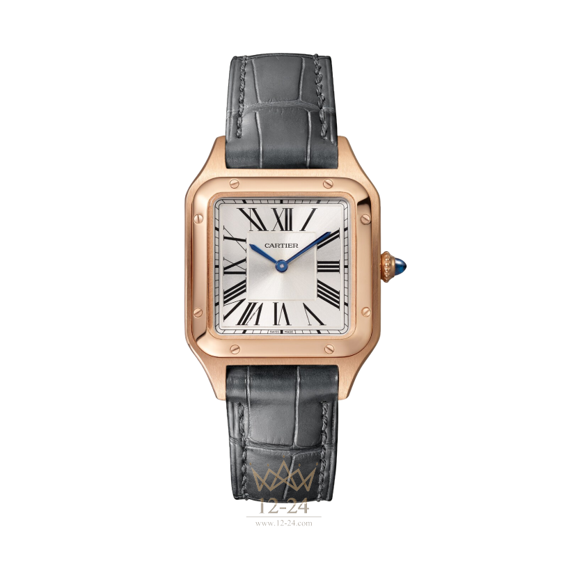 Cartier Santos de Cartier 38.0 мм x 27.5 мм WGSA0117