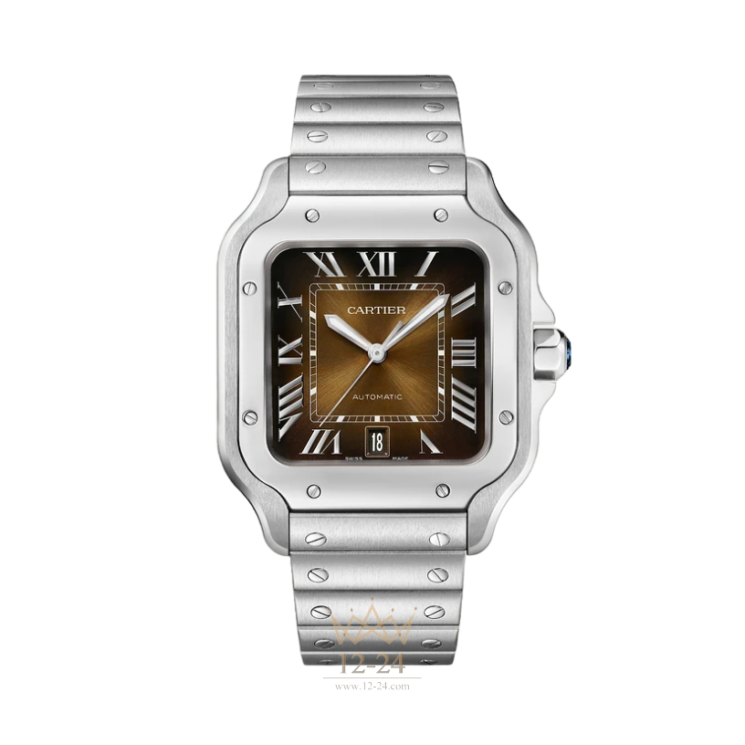 Cartier Large Model WSSA0064