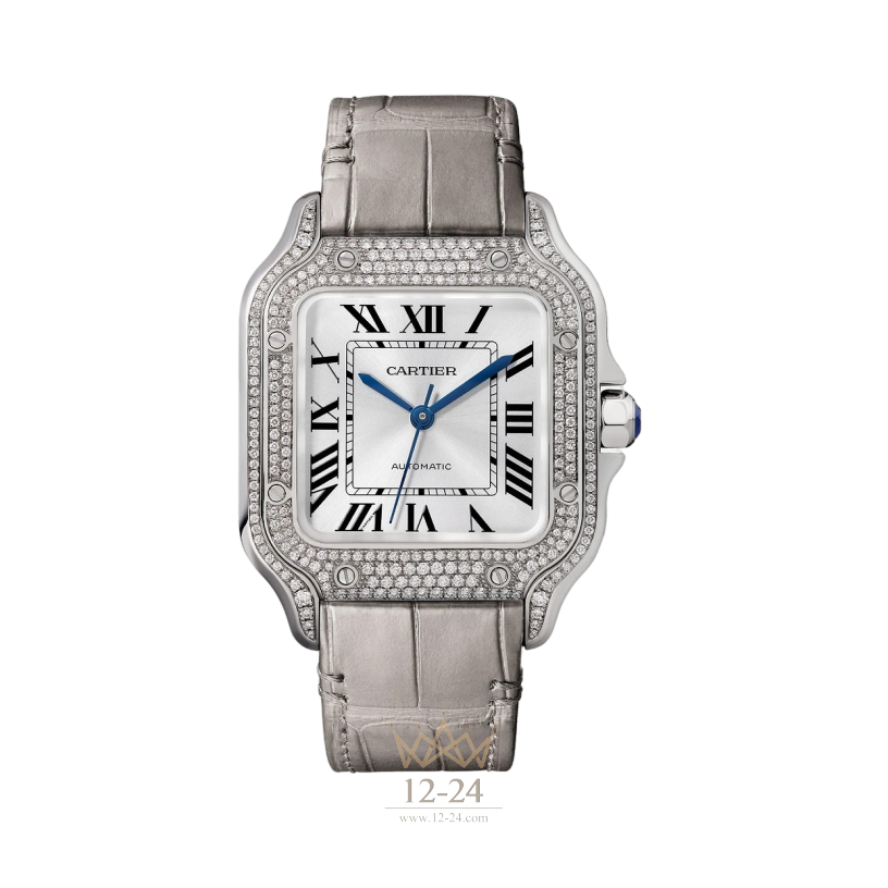 Cartier Medium Model WJSA0014