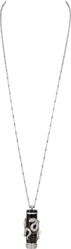 Cartier Visible Time Motive «Snake» Small model HPI00662