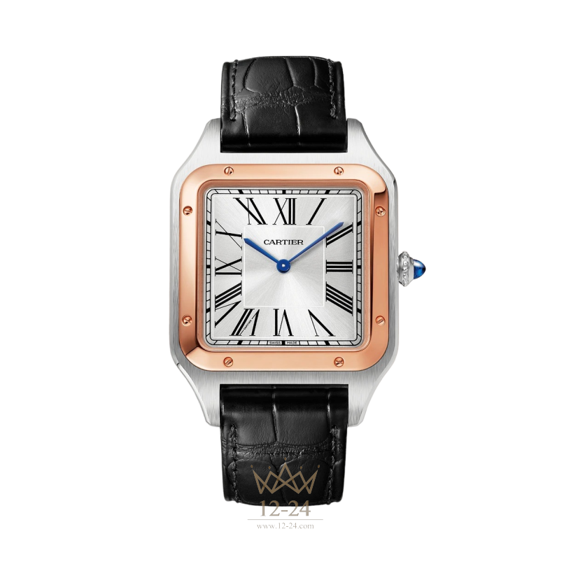 Cartier Santos-Dumont Extra-Large Model W2SA0017