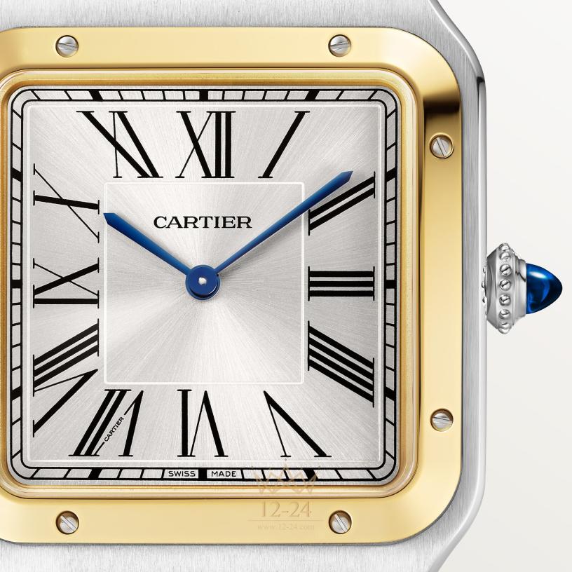 Cartier Santos de Cartier 46.6 мм x 33.9 мм W2SA0034