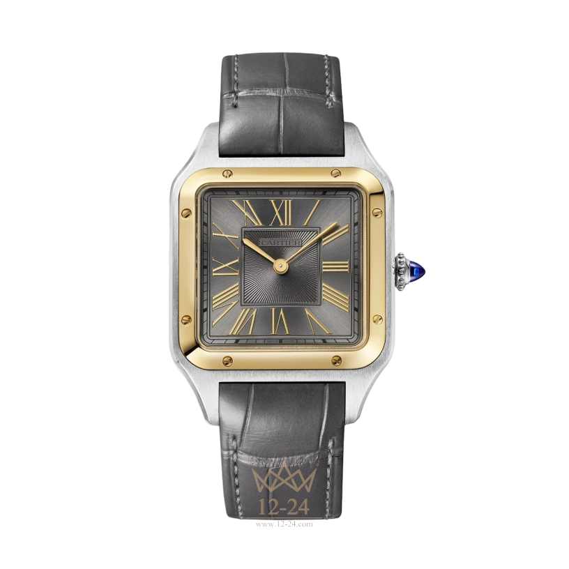 Cartier Santos-Dumont Large Model W2SA0028