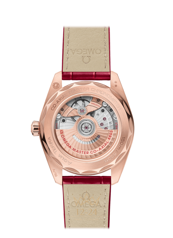 Omega Aqua Terra 150m Co Axial Master Chronometer Small Seconds 38 mm 220.58.38.20.55.002