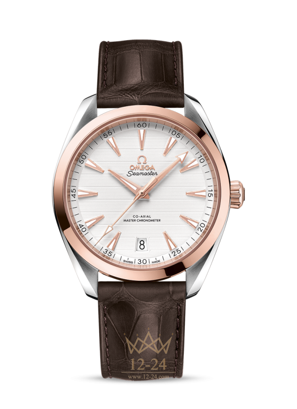 Omega Co-Axial Master Chronometer 41 mm 220.23.41.21.02.001