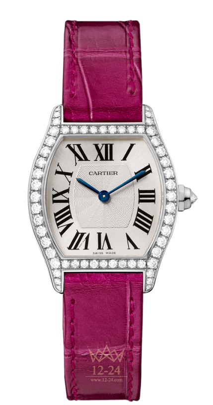 Cartier Manual Winding WA501007