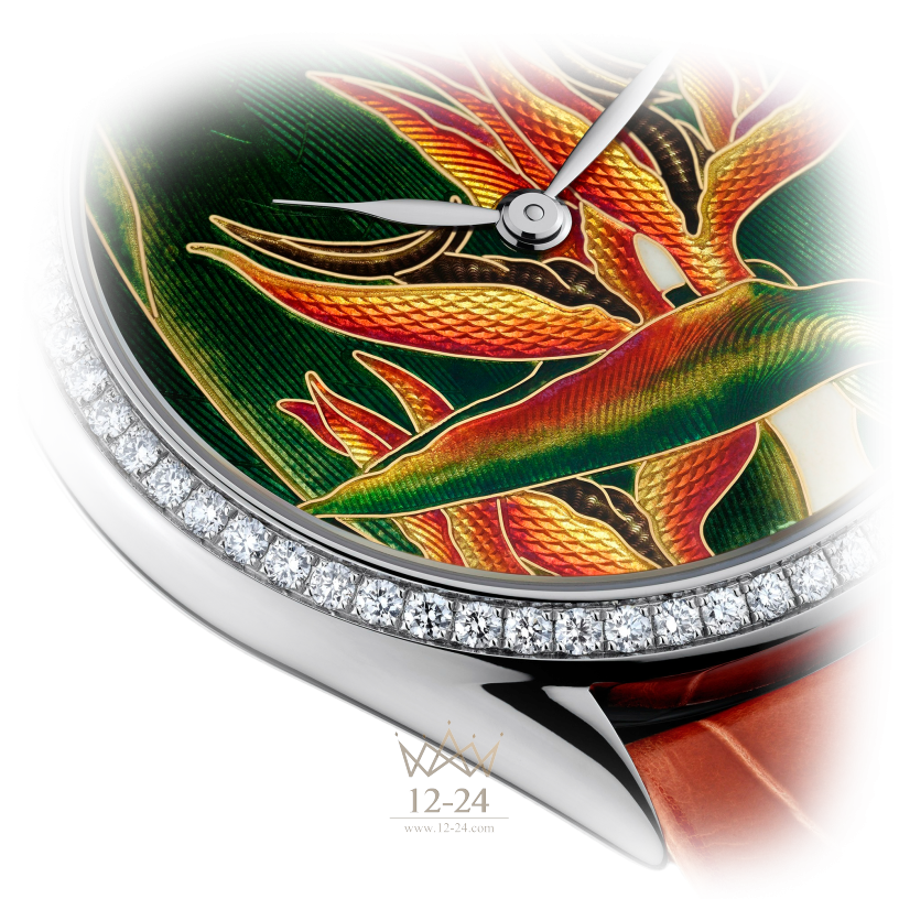 Vacheron Constantin Florilege - Royal Strelitzia 82550/000G-9854