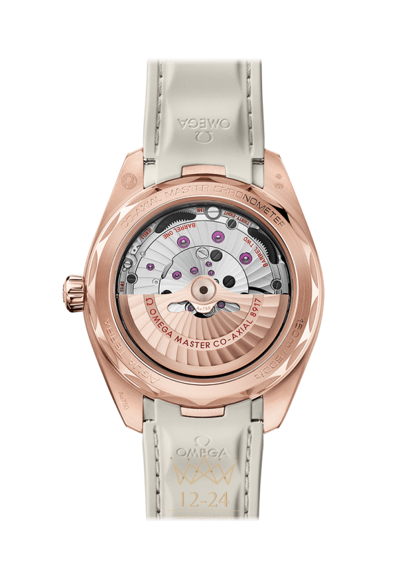 Omega Aqua Terra 150m Co Axial Master Chronometer Small Seconds 41 mm 220.52.41.21.02.001