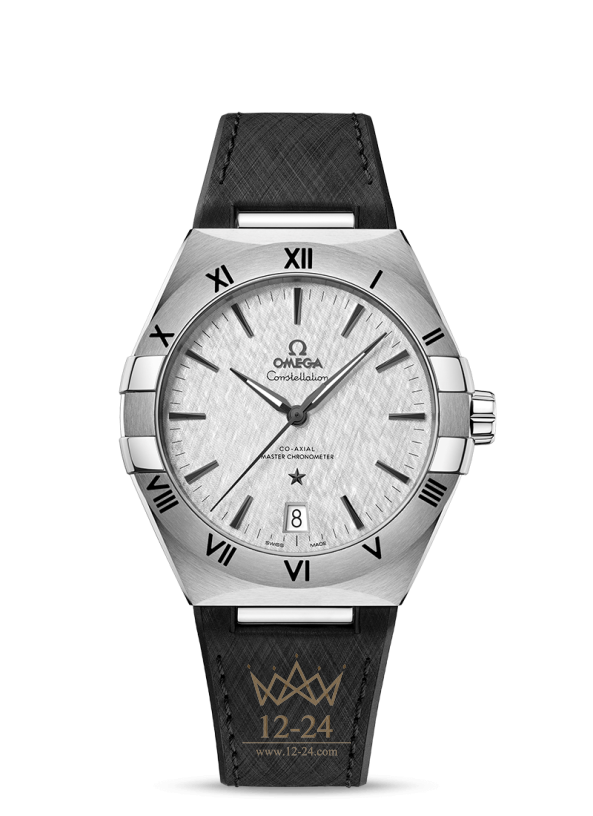 Omega Co Axial Master Chronometer 41 mm 131.12.41.21.06.001