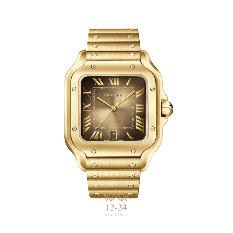 Cartier Large Model WGSA0095