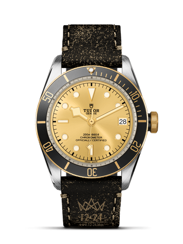 Tudor Black Bay S&amp;G m79733n-0003