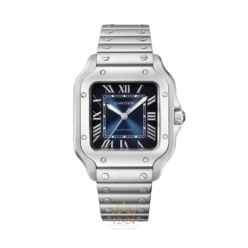 Cartier Medium Model WSSA0063