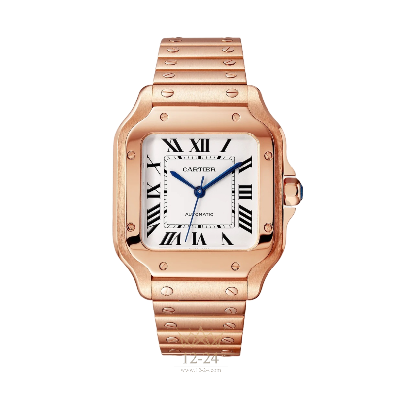 Cartier Medium Model WGSA0031