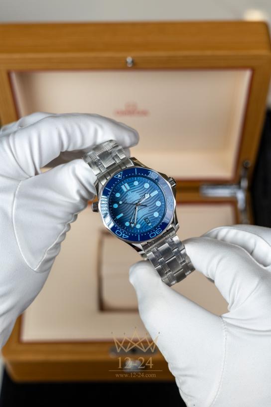 Omega 42 mm 210.30.42.20.03.003