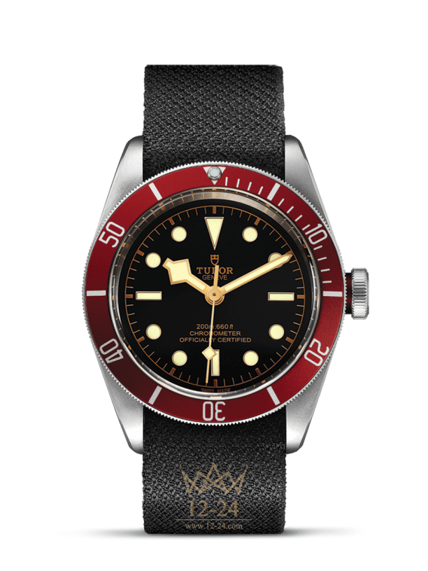 Tudor Black Bay M79230R-0010