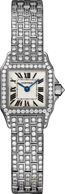Cartier Demoiselle Mini Model WF9005YA