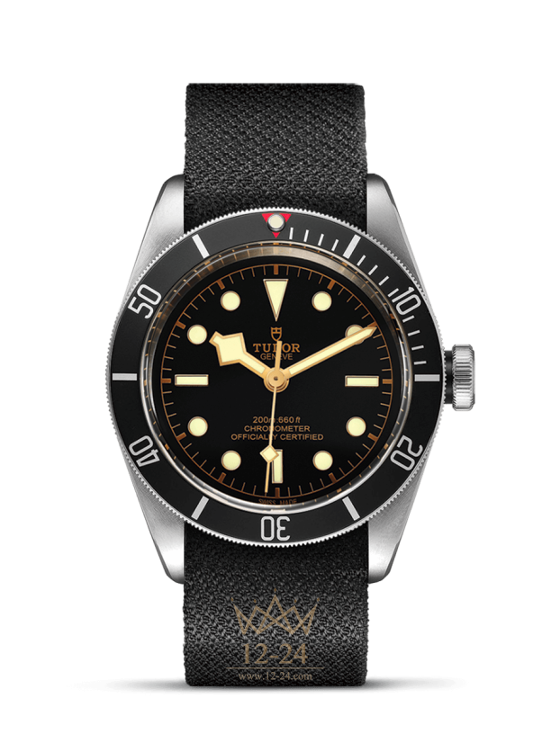 Tudor Black Bay M79230N-0005