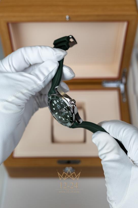 Omega Co‑Axial Master Chronometer 42 mm 210.32.42.20.10.001