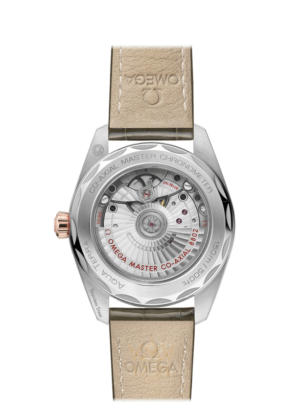 Omega Aqua Terra 150m Co Axial Master Chronometer Small Seconds 38 mm 220.23.38.20.60.001