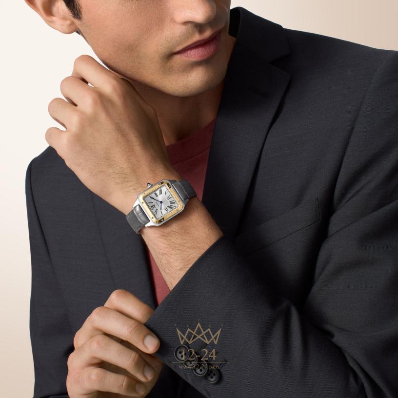 Cartier Santos de Cartier 43.5 mm x 31.4 mm W2SA0046
