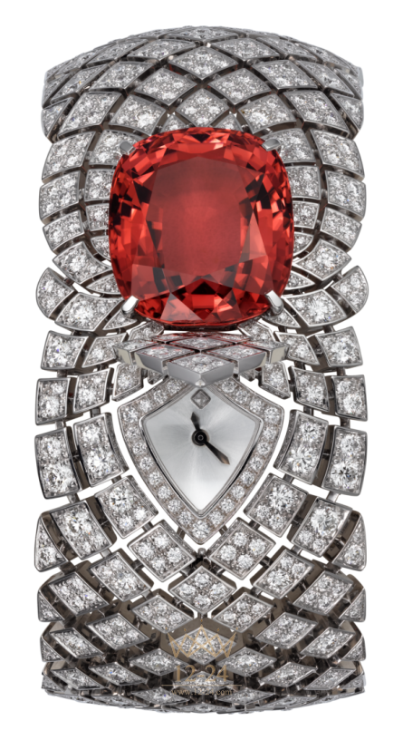 Cartier Hidden Time Motive «Rosette» Small model HPI00604