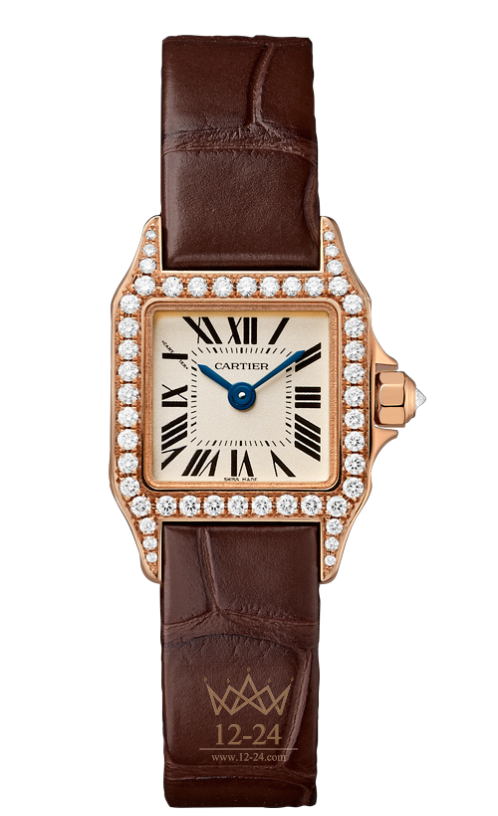 Cartier Demoiselle Small Model WF902006