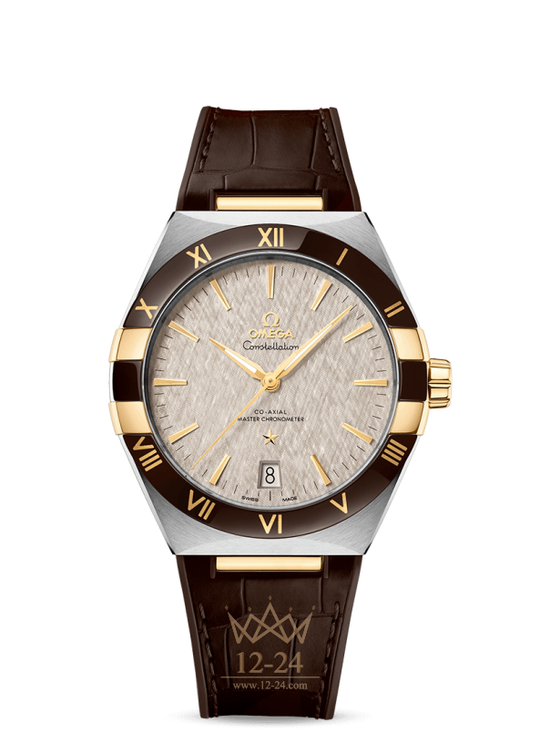 Omega Co‑Axial Master Chronometer 41 mm 131.23.41.21.06.002