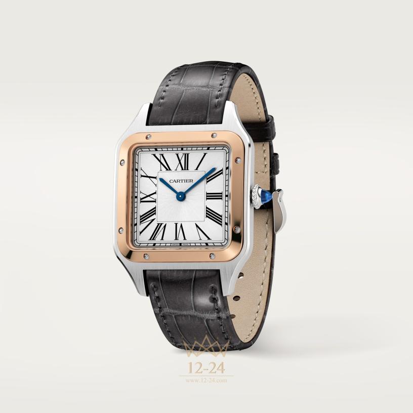Cartier Santos de Cartier 43.5 мм x 31.4 мм W2SA0037