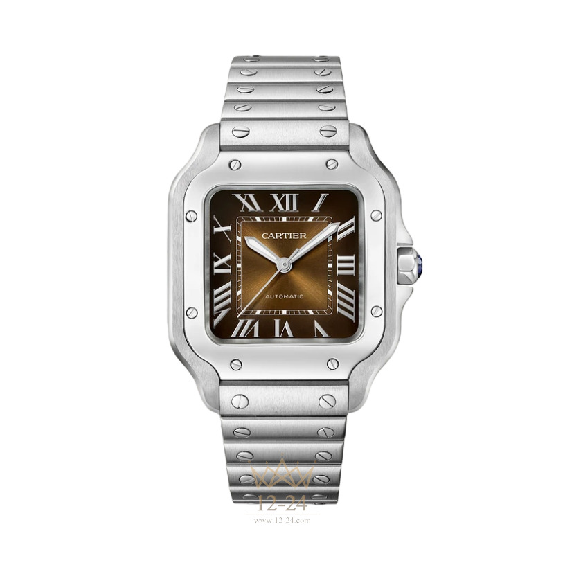 Cartier Medium Model WSSA0065